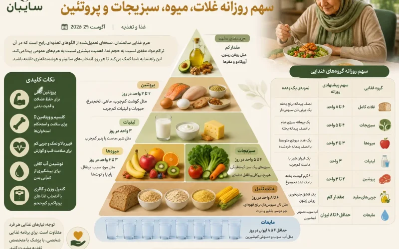هرم غذایی سالمندان و سهم گروه‌های غذایی روزانه